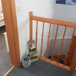 Auf Ruegen Gingst