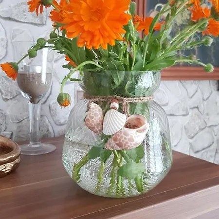 Auf Ruegen Tatil Evi *